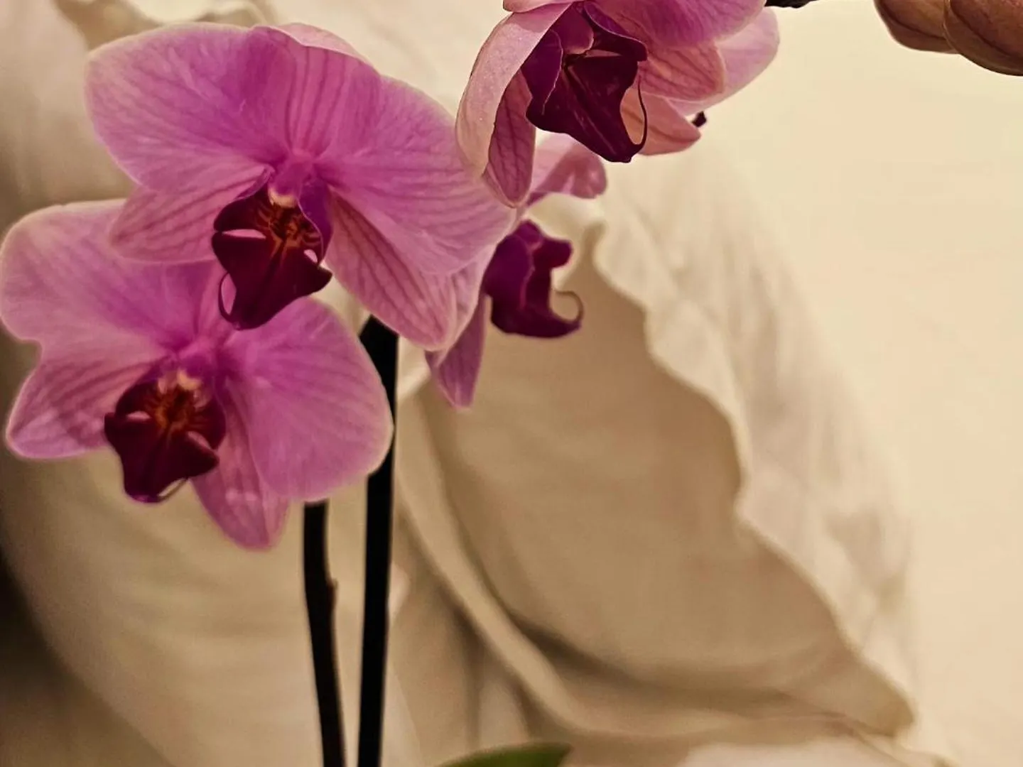 Stoa Rome Boutique Suites Hotel